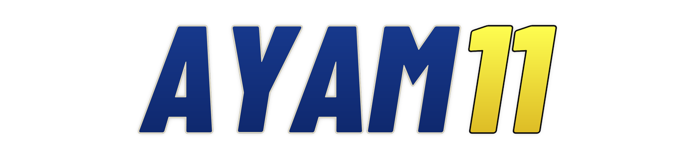 ayam11